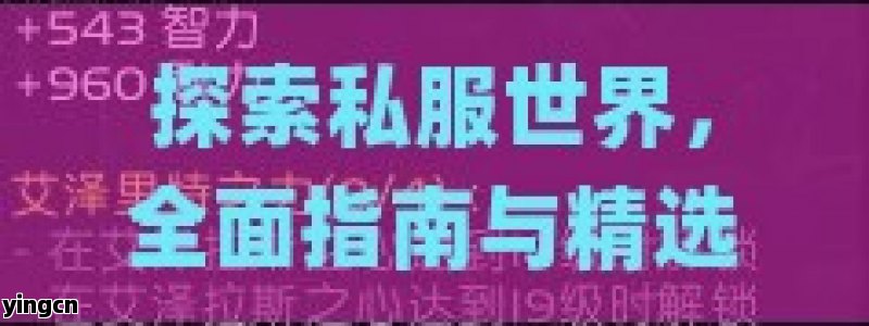 探索私服世界，全面指南与精选网站大盘点