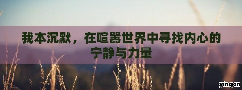 我本沉默，在喧嚣世界中寻找内心的宁静与力量