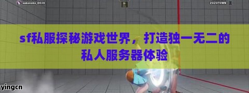 sf私服探秘游戏世界，打造独一无二的私人服务器体验