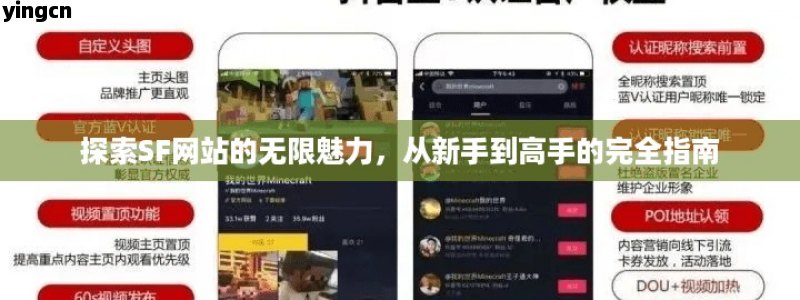 探索SF网站的无限魅力，从新手到高手的完全指南