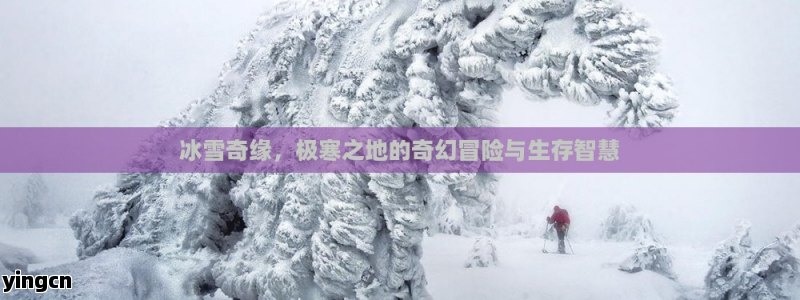 冰雪奇缘，极寒之地的奇幻冒险与生存智慧