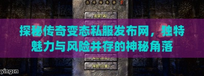 探秘传奇变态私服发布网，独特魅力与风险并存的神秘角落