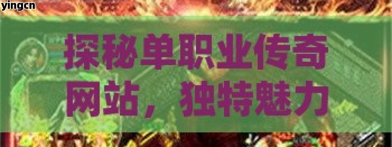 探秘单职业传奇网站，独特魅力与精彩玩法全解析