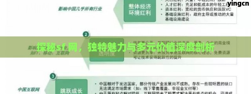 探秘sf 网，独特魅力与多元价值深度剖析