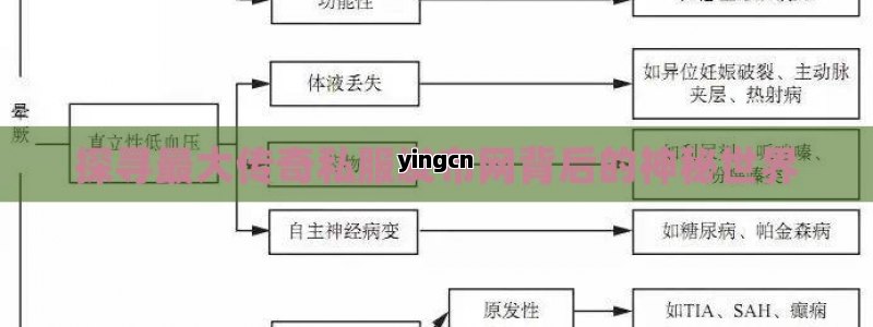 探寻最大传奇私服发布网背后的神秘世界